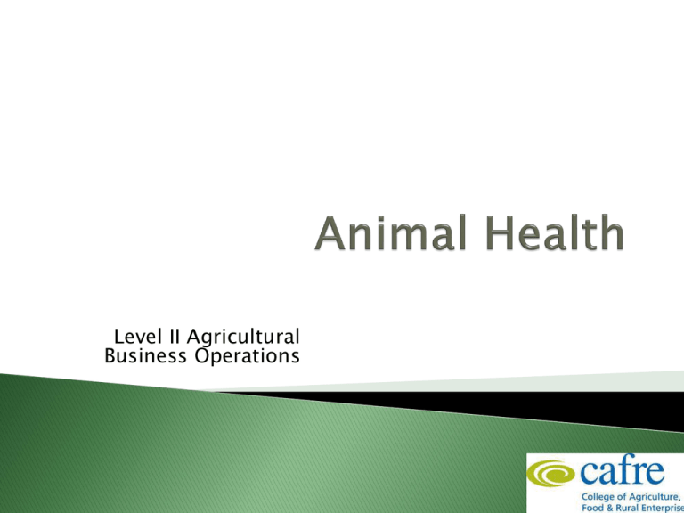 Dairy Animal Health Week 2