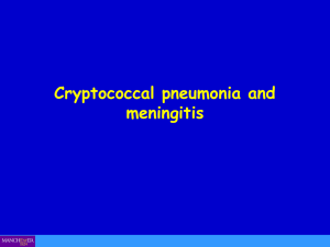 Cryptococcal pneumonia and meningitis