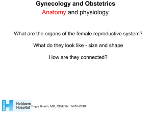 Gynecology and Obstetrics - Birger Breumwww.handout.dk