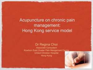 chronic pain HK model 2011 ppt rev