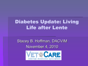 Diabetes Update: Living Life after Lente