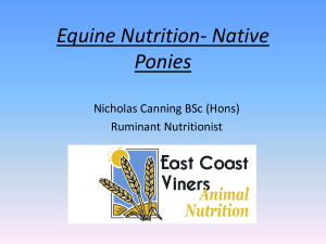 Equine Nutrition- Native Ponies