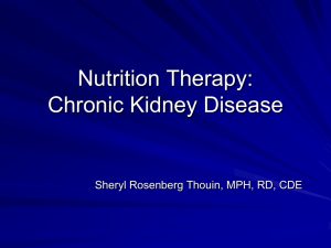 Renal Nutrition Therapy
