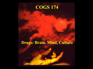 Opiates - UCSD Cognitive Science