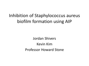 Inhibition of Staphylococcus aureus biofilm formation using AIP