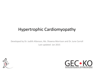 Hypertrophic Cardiomyopathy - GEC-KO