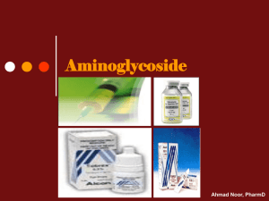 Aminoglycoside
