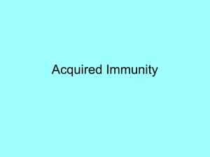 Acquired Immunity Powerpoint
