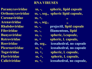 RNA viruses, hepatitis, HIV, therapy, prions