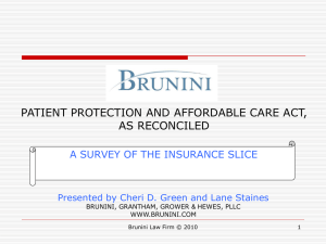 A Survey of the Insurance Slice
