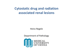 Cytostatic drug and radiation associated renal lesions (PPT / 6790 KB)