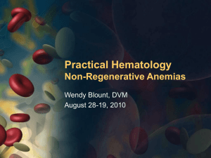 Non-Regenerative Anemias - PowerPoint