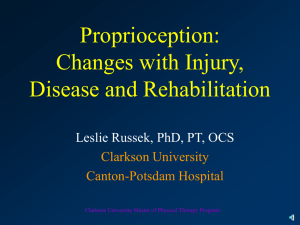 Proprioception changes with injury