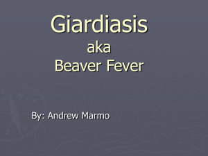 Giardiasis aka Beaver Fever