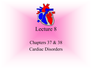 PowerPoint Presentation - Lecture 8