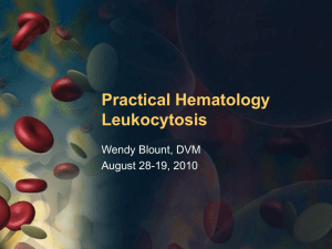 Leukocytosis - PowerPoint