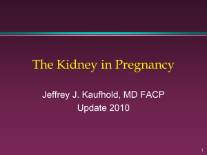 Kidney-in-Pregnancy