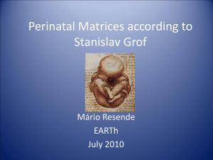 Perinatal Matrices according to Stanislav Grof
