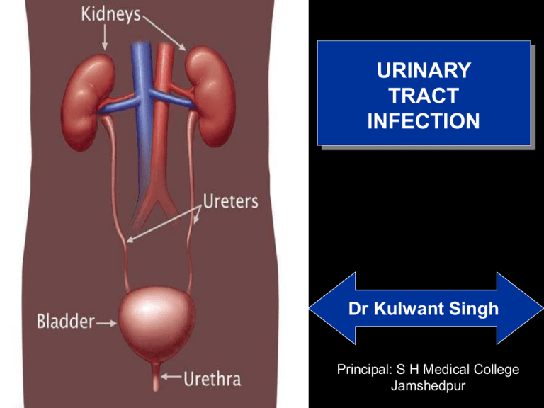 Urinary Tract Infection Pathogenesis