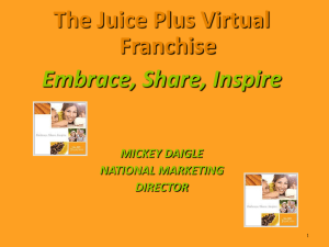 Virtual Franchise Business Model Overview