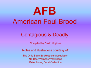 American Foulbrood Presentation
