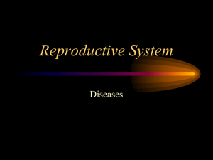 Reproductive System Diseases