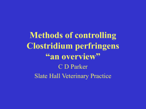 Methods of controlling Clostridium perfringens “an overview”