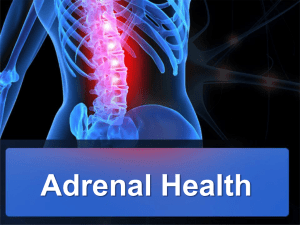 Adrenal Health - Integrative Health Center