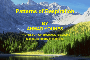 Patterns of Respiration