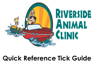 Quick Reference Tick Guide - The Riverside Animal Clinic