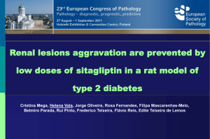 Renal lesions aggravation are prevented by low doses of sitagliptin