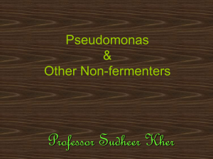 Pseudomonas & Other Non