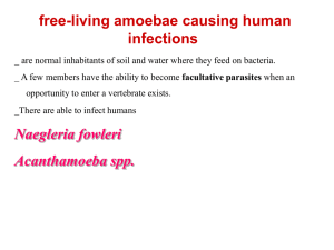 Free-Living-Amoeba