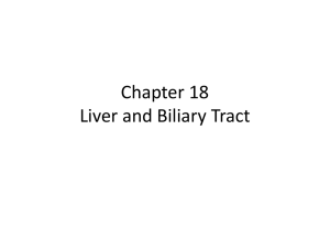 Liver and Biliary Tract