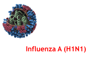 Influenza_AH1N1_Std_PPT
