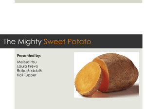 sweet potato presentation