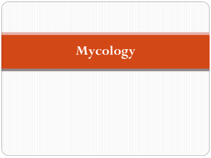 Mycology - BMC Dentists 2011