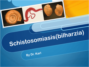 Schistosomiasis(bilharzia)