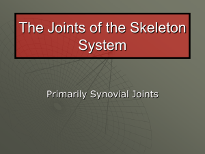 The Joints of the Skeleton System