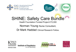 Shine: safety care bundle Powerpoint presentation (PPT 2.07MB)