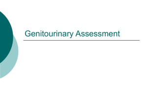 PN1healthassessment\Genitourinary Assessment Week 13
