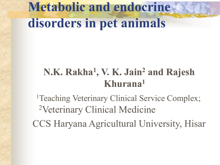 metabolic-diseases-in-pets