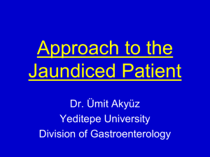 Jaundice - University of Yeditepe Faculty of Medicine, 2011