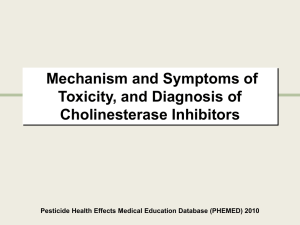 Toxicity of Pesticides Cholinergic Inhibitors