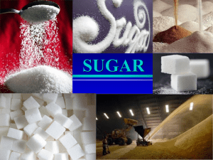 Sugar Lesson PowerPoint