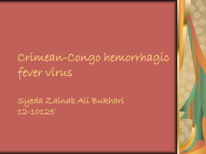 Crimean-Congo hemorrhagic fever virus