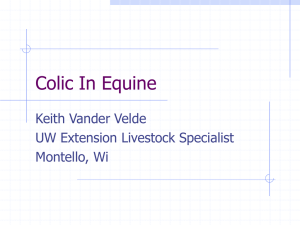 Colic and Founder in Equine 2002