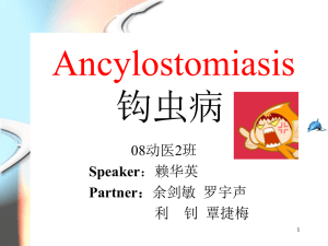 Ancylostomiasis 钩虫病