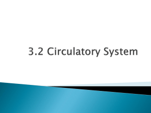 SNC2D Circulatory System