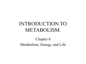 INTRODUCTION TO METABOLISM.